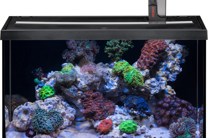 EHEIM Aquastar 63 Marine Schwarz - Aquarienset 1 EHEIM Aquastar 63 Marine Schwarz - Aquarienset