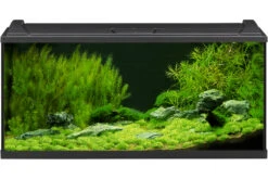 EHEIM AquaproLED 180 Schwarz - Aquarienset