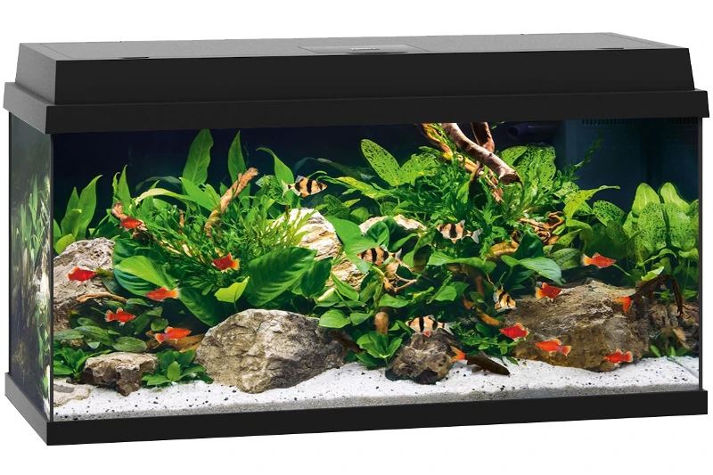 Juwel Primo 110 Schwarz Aquarium-Set 2 Juwel Primo 110 Schwarz Aquarium-Set – Bild 2