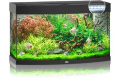 Wassertierserien Geschäft 8 Wassertierserien Geschäft -Wassertierserien Geschäft 13j9350 Juwel Vision 180 LED schwarz Aquarium 2