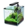 Aquatlantis Aquarienset Nano Cubic 30 LED, Schwarz