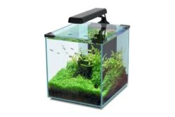 Aquatlantis Aquarienset Nano Cubic 30 LED, Schwarz