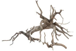 Sera Scaper Root M • 30,0 Bis 35,0 Cm