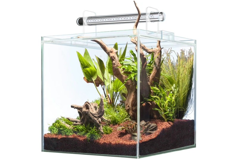 Sera Scaper Cube 64 Liter - Starterset 2 Sera Scaper Cube 64 Liter - Starterset – Bild 2