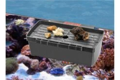 EHEIM Multibox 7 EHEIM Multibox -Wassertierserien Geschäft 82740 EHEIM Multibox 2