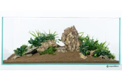 Aquadeco Drachenstein Dekoset Für 100 Cm Aquarium -Wassertierserien Geschäft Aquadeco Drachenstein Dekoset 3 1