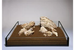 Aquadeco Helle Pagode Dekoset Für 120 Cm Aquarium 11 Aquadeco Helle Pagode Dekoset Für 120 Cm Aquarium -Wassertierserien Geschäft Aquadeco Helle Pagode 1