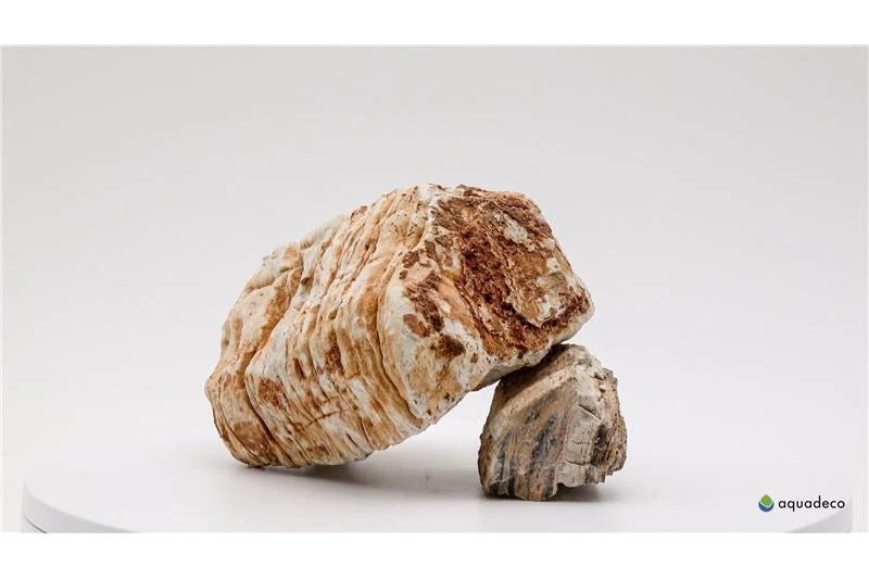 Aquadeco Helle Pagode Dekoset Für 60 Cm Aquarium 2 Aquadeco Helle Pagode Dekoset Für 60 Cm Aquarium – Bild 2