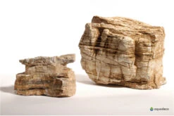 Aquadeco Helle Pagode Dekoset Für 60 Cm Aquarium 9 Aquadeco Helle Pagode Dekoset Für 60 Cm Aquarium -Wassertierserien Geschäft Aquadeco Helle Pagode 4 1