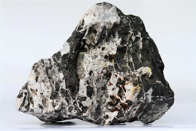 Aquadeco Leopardenstein 2,3-2,7 Kg (P10) 1 Aquadeco Leopardenstein 2,3-2,7 Kg (P10)