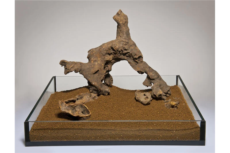 Aquadeco Savannenholz, Gestrahlt, 15-30 Cm (P20) 2 Aquadeco Savannenholz, Gestrahlt, 15-30 Cm (P20) – Bild 2