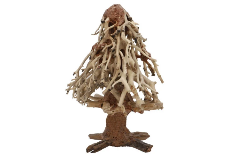 Dupla Brushwood 1 Dupla Brushwood