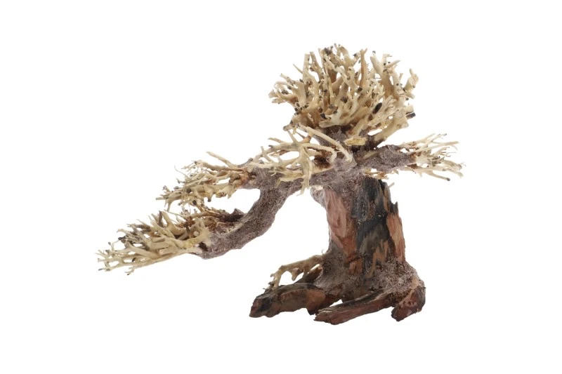 Dupla Bonsai S, Handgemachte Aquariendeko 2 Dupla Bonsai S, Handgemachte Aquariendeko – Bild 2