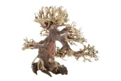 Dupla Bonsai S, Handgemachte Aquariendeko