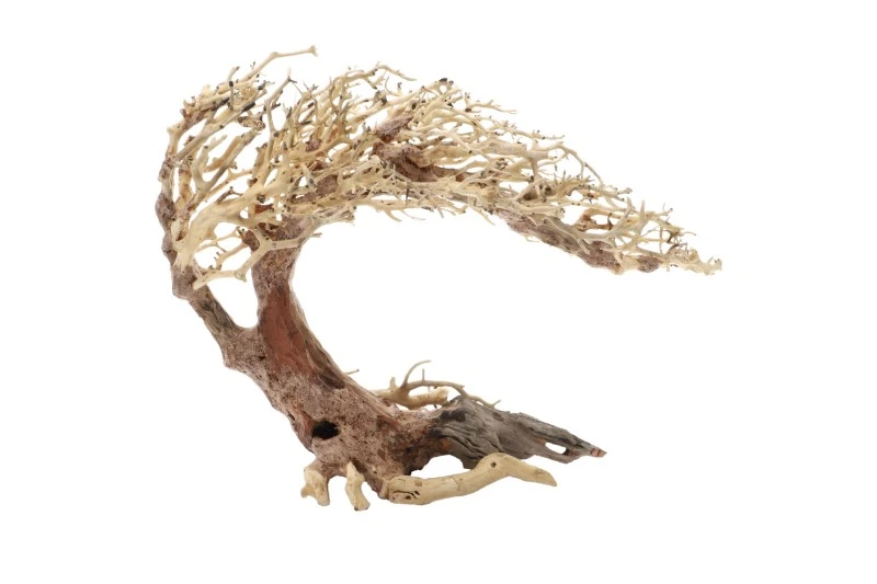 Dupla Crooked Root L, Handgemachte Aquariendeko 1 Dupla Crooked Root L, Handgemachte Aquariendeko