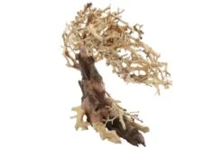Dupla Crooked Root M, Handgemachte Aquariendeko -Wassertierserien Geschäft Dupla Crooked Root M 3
