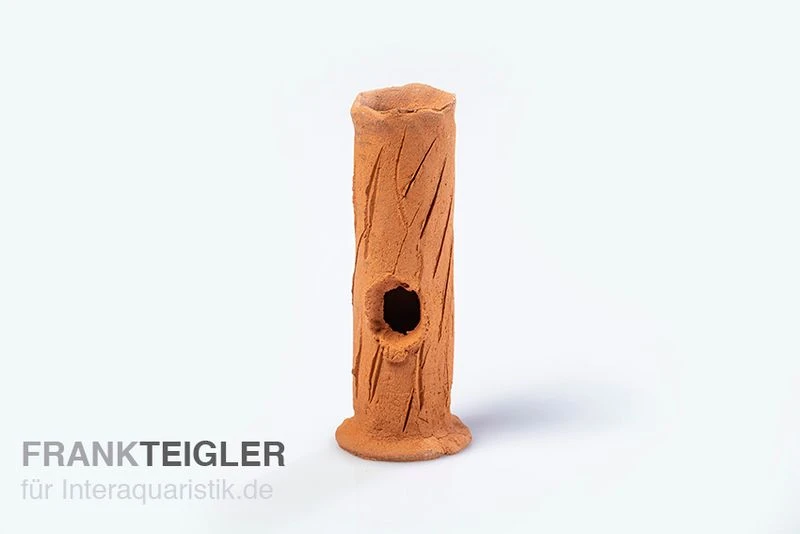 Aquariumkeramik Garnelenstamm Mini Terrakotta 1 Aquariumkeramik Garnelenstamm Mini Terrakotta