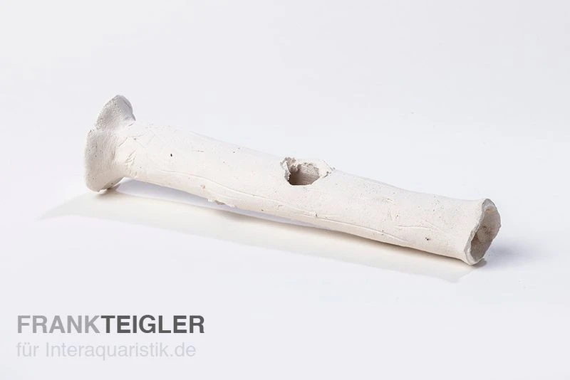 Aquariumkeramik Garnelenstamm Midi Weiß 1 Aquariumkeramik Garnelenstamm Midi Weiß