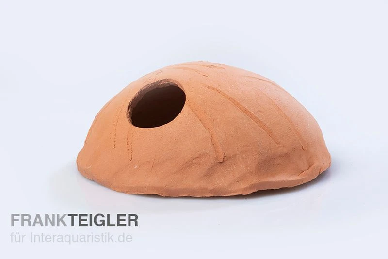 Aquariumkeramik Cichliden Iglu Laichhöhle Terrakotta 1 Aquariumkeramik Cichliden Iglu Laichhöhle Terrakotta