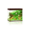 Juwel Lido Aquarium 200 LED, Dunkles Holz