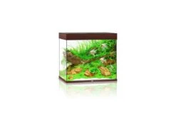 Juwel Lido Aquarium 200 LED, Dunkles Holz