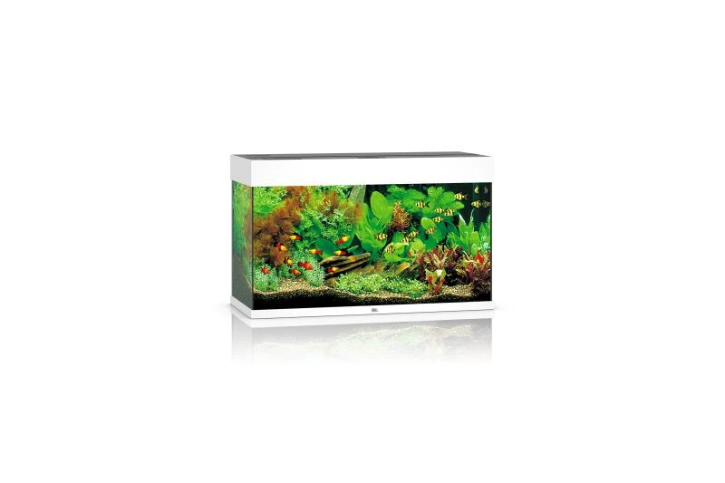 Juwel Rio Aquarium 125 LED, Weiß