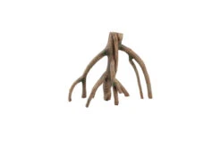 Aquatlantis Wurzel Mango 2