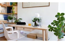 Aquael Shrimp Set Day&Night, 20 Liter Schwarz -Wassertierserien Geschäft shrimp set day night 2