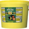 Tropical Super Spirulina Forte (36%), 5 Liter